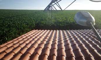 Imagem 7: Fazenda com irrigação por pivo central às margens do São Francisco em Abaeté MG
