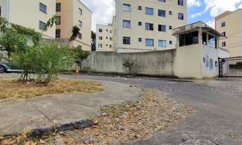 Imagem 7: BELO HORIZONTE - Padrão - São João Batista (Venda Nova
