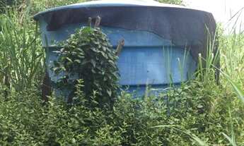 Imagem 6: Sítio em Itapetinga, oportunidade!!!