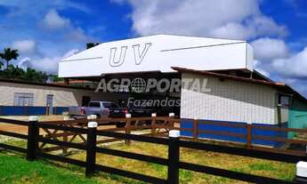 Imagem 6: Fazenda no Pará - Castanhal - 1163 ha (240 alq