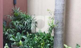 Imagem 3: SãO LEOPOLDO - Apartamento Padrão - Centro