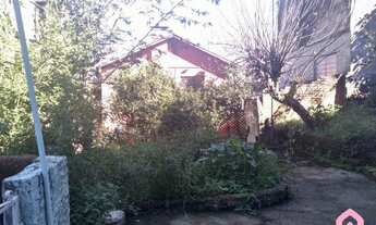 Imagem 5: CAXIAS DO SUL - Casa Padrão - Centro