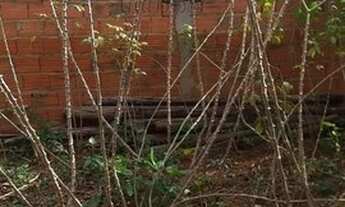 Imagem 7: Terreno para Venda em Hortolândia, Parque Gabriel