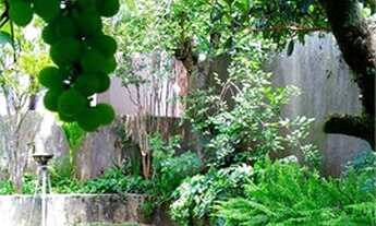 Imagem 4: VENDE-SE RESIDÊNCIA 464m² CONSTRUÍDOS, QUINTAL com FRUTÍFERAS E HORTA.