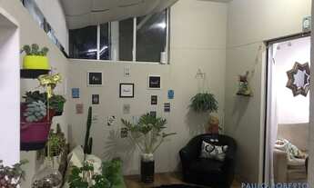 Imagem 4: APARTAMENTO - VILA ALZIRA - SP