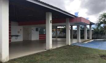 Imagem 3: Doce vida natura