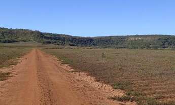 Imagem 5: Fazenda 50 alqueirão 110 km de Uberlândia