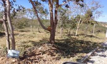 Imagem 4: Vendo chácara na região de Sete lagos 80 mil aceito carro de maior valor