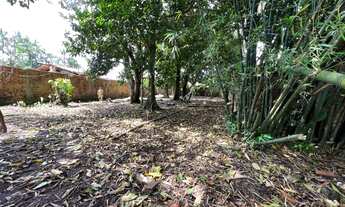 Imagem 5: Vende-se Terreno em Marituba