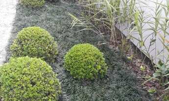 Imagem 5: CASA RESIDENCIAL em Florianópolis - SC, Jurerê