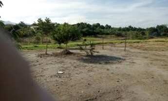 Imagem 6: Fazenda/Sítio/Chácara para venda possui 90 metros quadrados com 2 quartos em Tataúba - Caç