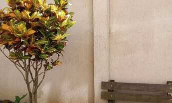 Imagem 5: Porto Alegre - Kitchenette/Conjugados - Partenon