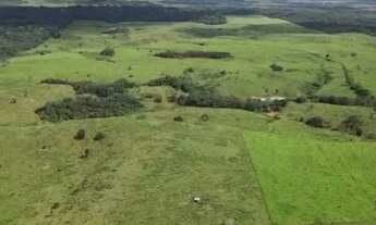 Imagem: 350 Alqueire dupla aptidão por R$ 25 milhões