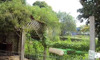 Imagem 6: Terreno Comercial, frente para RS240 , com 2.978,61m²