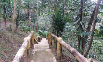 Imagem 5: Fazenda/Sítio/Chácara para venda tem 8000 metros quadrados com 5 quartos