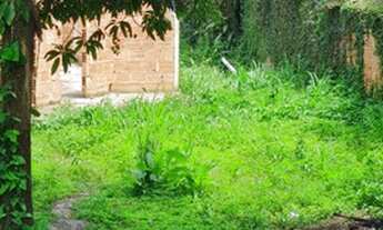 Imagem: Terreno com casa cintamento Travessa Macapá