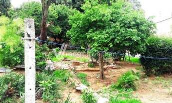 Imagem 7: Terreno - Chácara Primavera - Campinas