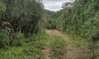 Imagem 2: Área 326.000 m² - 3 nascentes e 2 rios - Fuja da Cidade