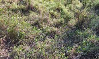 Imagem 6: Terrenos incriveis