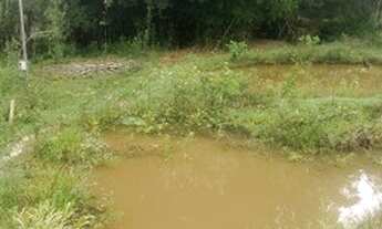 Imagem 4: Vendo sitio 5.800 metro por 130.00 mil