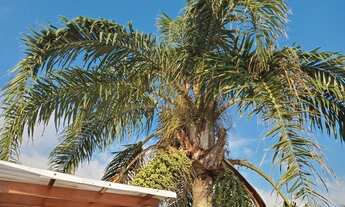 Imagem 6: Casa Balneário Florida em Peruíbe, 150m da Praia, Isolada, Terreno 364m2, 3 dormitórios, 1