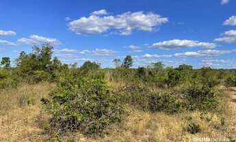 Imagem 4: Fazenda à venda, 614Ha - em TUPIRATINS/TO