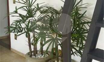 Imagem 6: Jundiaí - Casa Padrão - Traviú