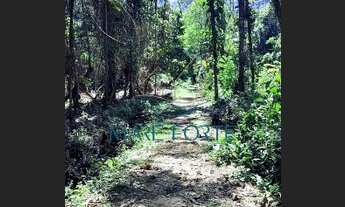 Imagem 3: Terreno a venda Ubatumirim