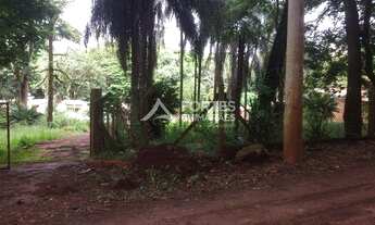 Imagem 3: RIBEIRãO PRETO - Padrão - Jardim Nova Aliança Sul