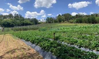 Imagem 7: área - Jundiaí Mirim - Jundiaí
