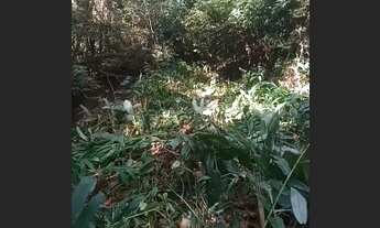 Imagem 6: LOTES DE 1.000MIL METROS ÁREA DE ARUJA BAIRRO SAO DOMINGOS..