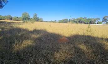 Imagem: Chácaras em Goianira, região do bugre