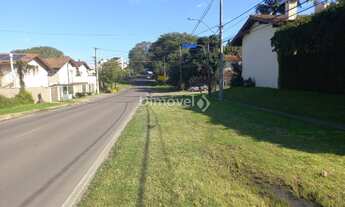 Imagem 7: PORTO ALEGRE - Terreno Padrão - IPANEMA