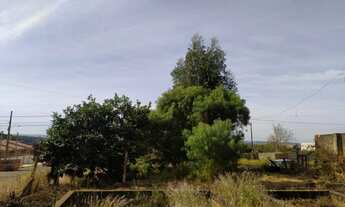 Imagem 4: Terreno Vila Borato