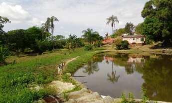 Imagem 2: Chácara 12 Alqueires - Santo Antonio do Desc GO