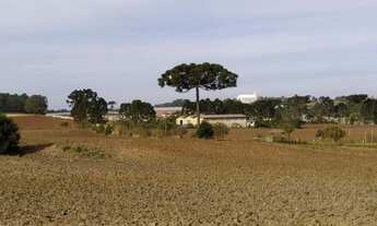 Imagem 2: Ótimo Terreno para condomínio à 5 min da Prefeitura C Magro