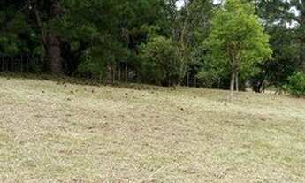 Imagem 5: Terreno à venda, 1910 m² por R$ 180.000,00 - Padre Réus - Gravataí/RS