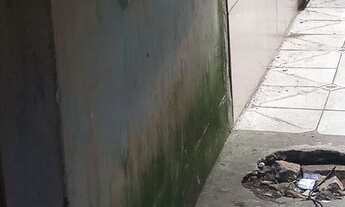 Imagem 2: Troca-se kit Net por outra