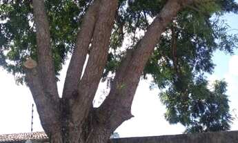 Imagem 2: Terreno próximo ao cemitério Morada da Paz