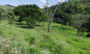 Imagem: Fazenda 18 hectares várias nascentes ideal