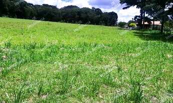 Imagem 6: Excelente chácara Sem Benfeitorias