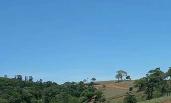 Imagem 2: Não perca esses terrneos em Atibaia!