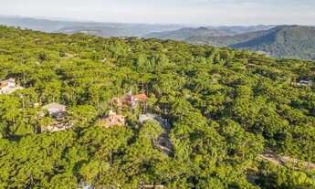 Imagem 3: Casa com 4 dormitórios à venda, 244 m² por R$ 3.980.000,00 - Reserva da Serra - Canela/RS