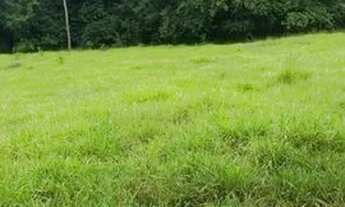 Imagem 7: VENDO CHÁCARA RICA EM ÁGUA SANTO ANTÔNIO DESCOBERTO GO PORTEIRA FECHADA