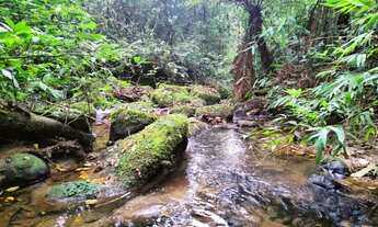 Imagem 4: Terreno grande de 10 alqueires com cachoeira, rio e nascente!