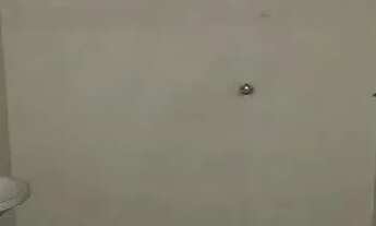 Imagem 7: Sobrado de Esquina Locação Penha