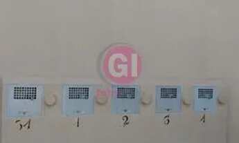 Imagem 2: Kitnet Nova localizada no bairro São João 1 Dormitório 1 Cozinha 1 Banheiro