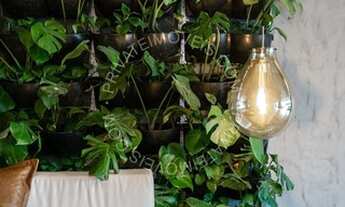 Imagem 4: PORTO ALEGRE - Apartamento Padrão - Auxiliadora