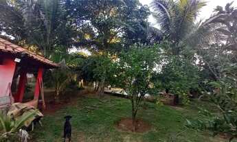 Imagem: Vende-se chácara