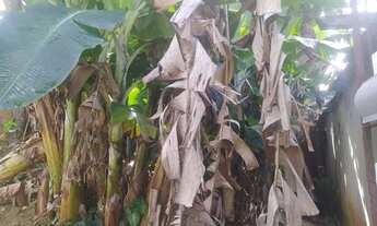 Imagem 4: Terreno Murado Terreno / lote com venda por R$16.500